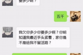 滨州企业清欠服务